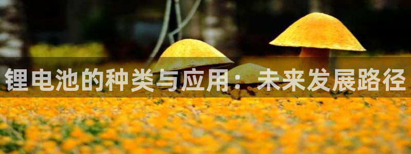 okpay钱包最新版安装方法