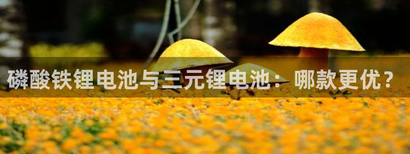 okpay钱包充值
