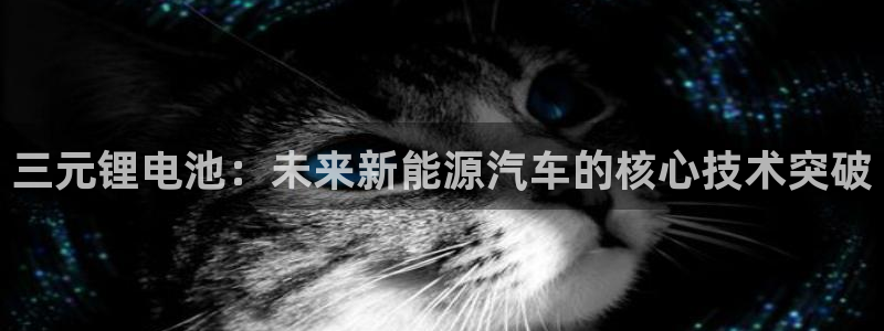 okpay钱包靠谱吗