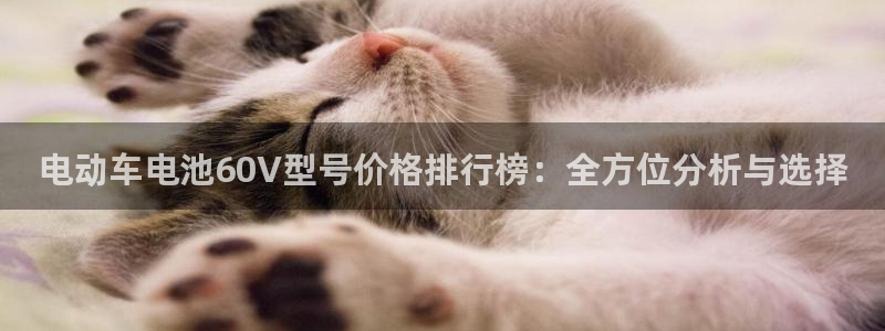 okpay钱包地址怎么查询