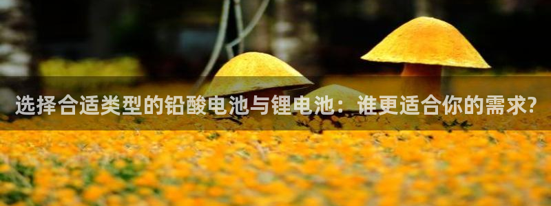 okpay支付钱包下载最新：选择合适类型的铅酸电池与锂电池：谁更适合你的需求?
