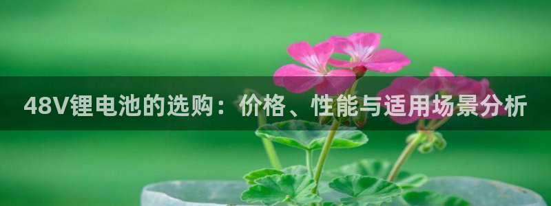 okpay钱包最新版安装方法