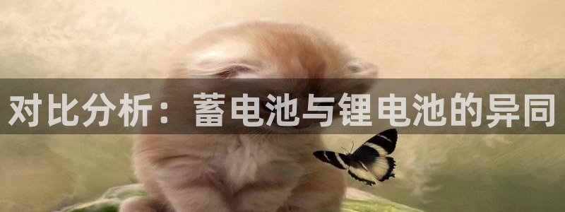 okpay钱包下载手机版