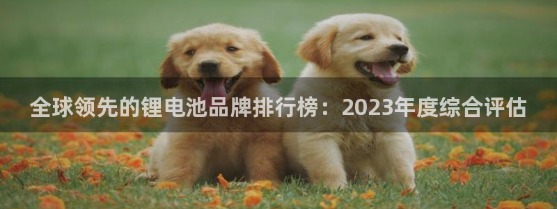 okpay钱包app下载官网2020