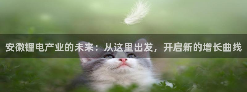 okpay钱包怎么提现