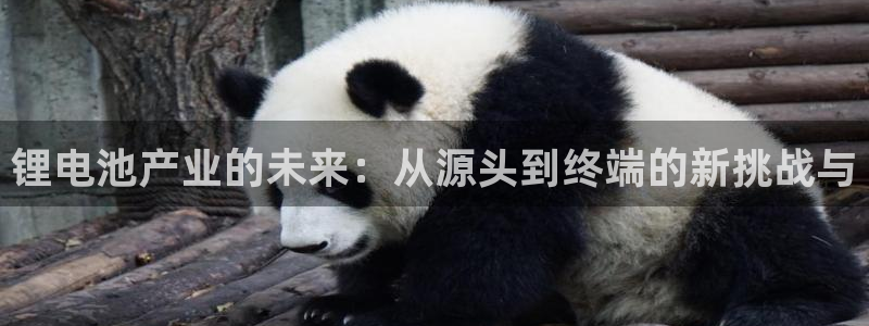 okpay钱包app下载官网2023