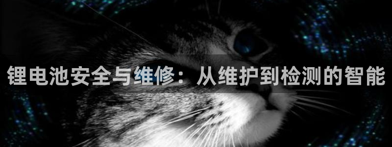 okpay钱包是哪个国家的