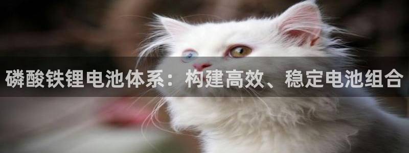okpay钱包最新下载