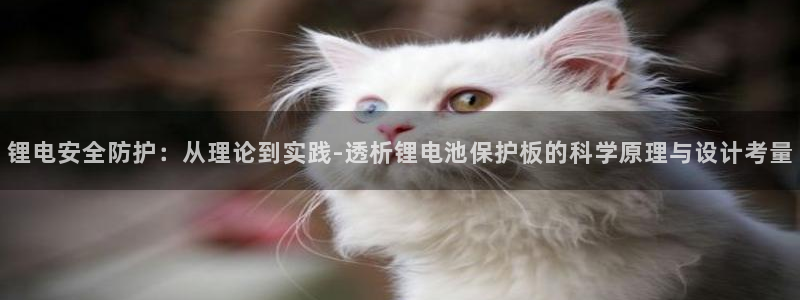 okpay钱包苹果：锂电安全防护：从理论到实践-透析锂电池保护板的科学原理与设计考量