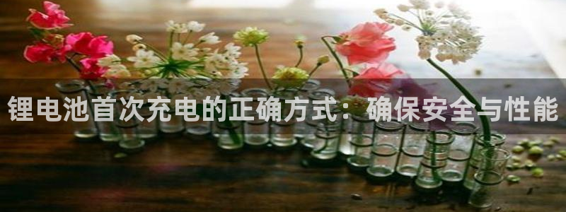okpay钱包地址怎么查询