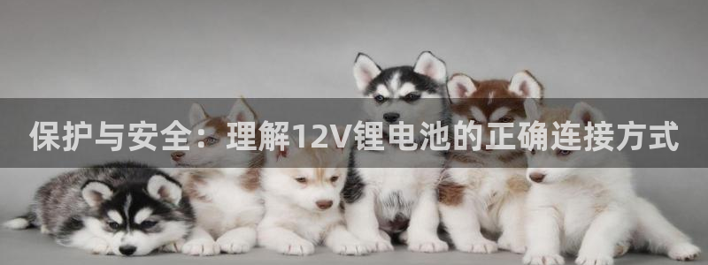 okpay钱包数字货币