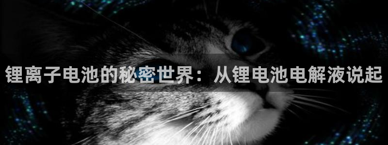 okpay钱包正规吗：锂离子电池的秘密世界：从锂电池电解液说起