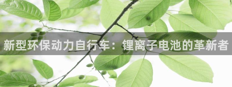 okpay钱包支付：新型环保动力自行车：锂离子电池的革新者