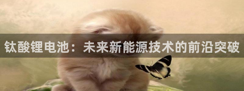 okpay钱包：钛酸锂电池：未来新能源技术的前沿突破