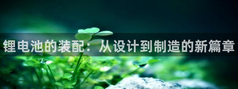 okpay钱包官网版v6.0.21：锂电池的装配：从设计到制造的新篇章