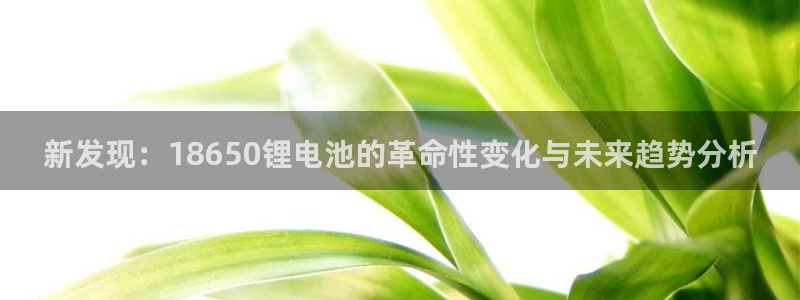 okpay钱包官网入口