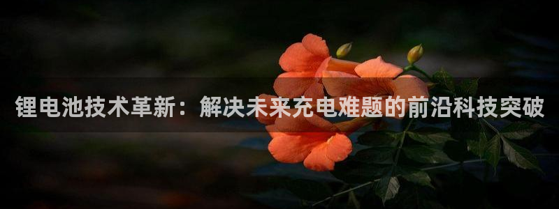 okpay钱包怎么充值：锂电池技术革新：解决未来充电难题的前沿科技突破