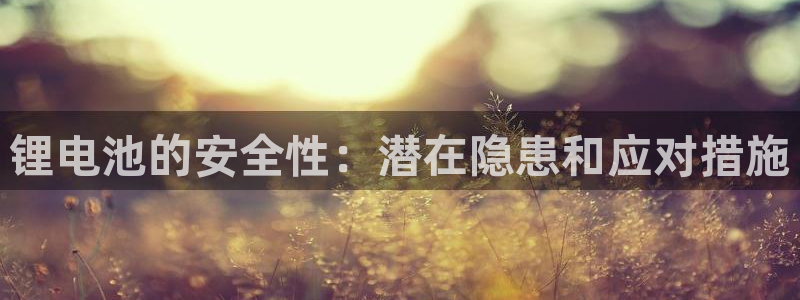 okpay钱包地址怎么查询：锂电池的安全性：潜在隐患和应对措施