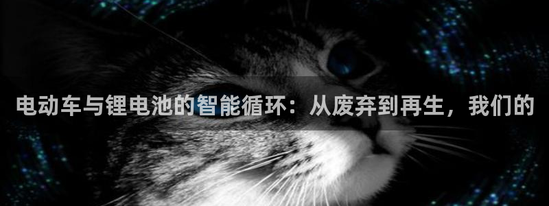 okpay支付钱包下载最新：电动车与锂电池的智能循环：从废弃到再生，我们的