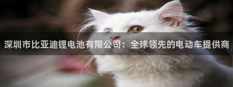okpay下载钱包：深圳市比亚迪锂电池有限公司：全球领先的电动车提供商