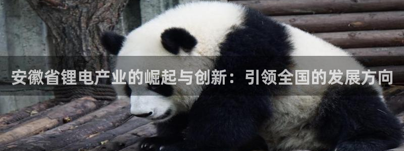 okpay钱包链接：安徽省锂电产业的崛起与创新：引领全国的发展方向