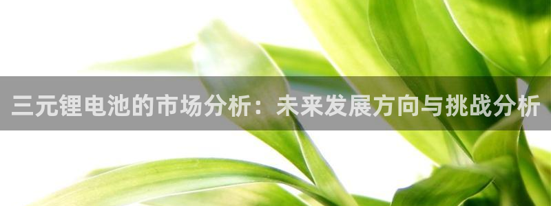 gopay及okpay钱包：三元锂电池的市场分析：未来发展方向与挑战分析