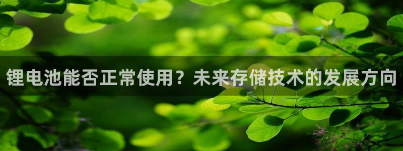 okpay钱包怎么样：锂电池能否正常使用？未来存储技术的发展方向