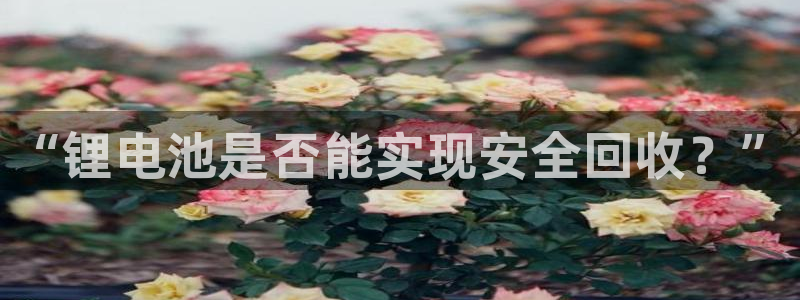 okpay钱包支付平台下载