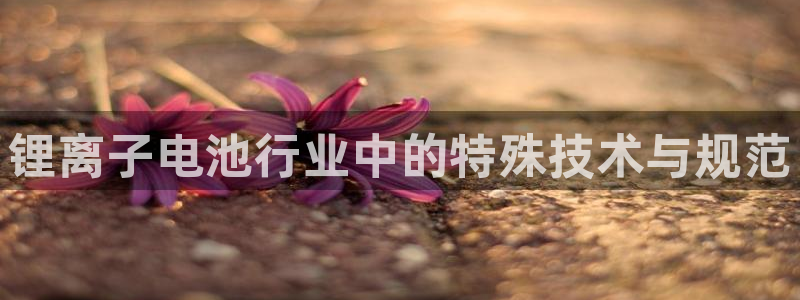 okpay钱包最新版安卓版：锂离子电池行业中的特殊技术与规范