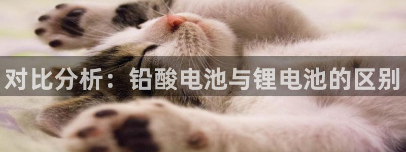 okpay钱包手机版最新版：对比分析：铅酸电池与锂电池的区别