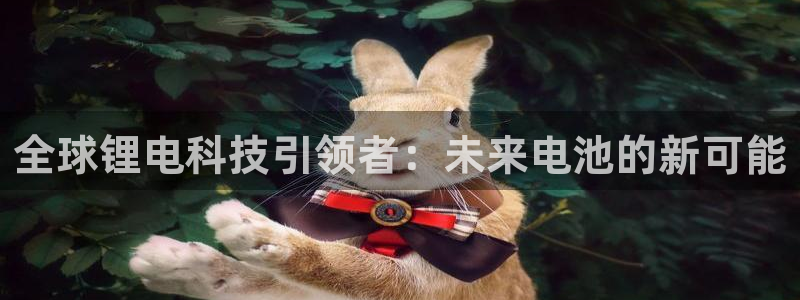 okpay钱包充值：全球锂电科技引领者：未来电池的新可能