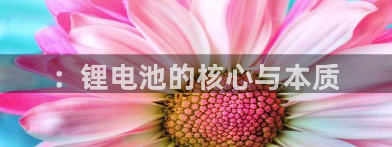 okpay钱包充值：：锂电池的核心与本质