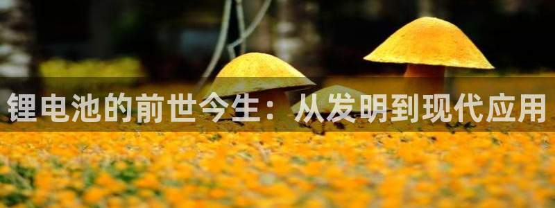 okpay数字钱包：锂电池的前世今生：从发明到现代应用