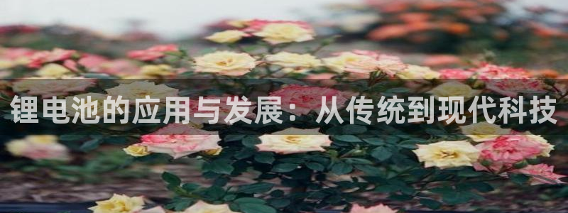 okpay钱包教程：锂电池的应用与发展：从传统到现代科技