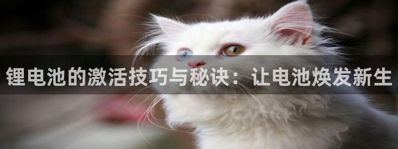 okpay钱包手机版：锂电池的激活技巧与秘诀：让电池焕发新生