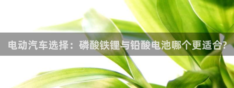 okpay钱包链接：电动汽车选择：磷酸铁锂与铅酸电池哪个更适合?