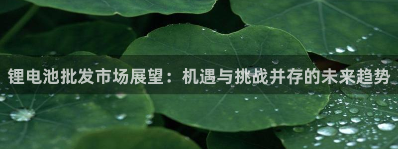 okpay钱包客服：锂电池批发市场展望：机遇与挑战并存的未来趋势