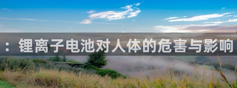 okpay钱包是合法的吗：：锂离子电池对人体的危害与影响