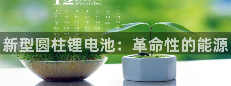 网赌okpay钱包安全吗